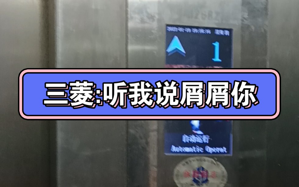 汕尾市某居民樓的雜牌“三菱”電梯